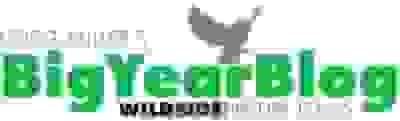 Big-Year-Blog-Logo