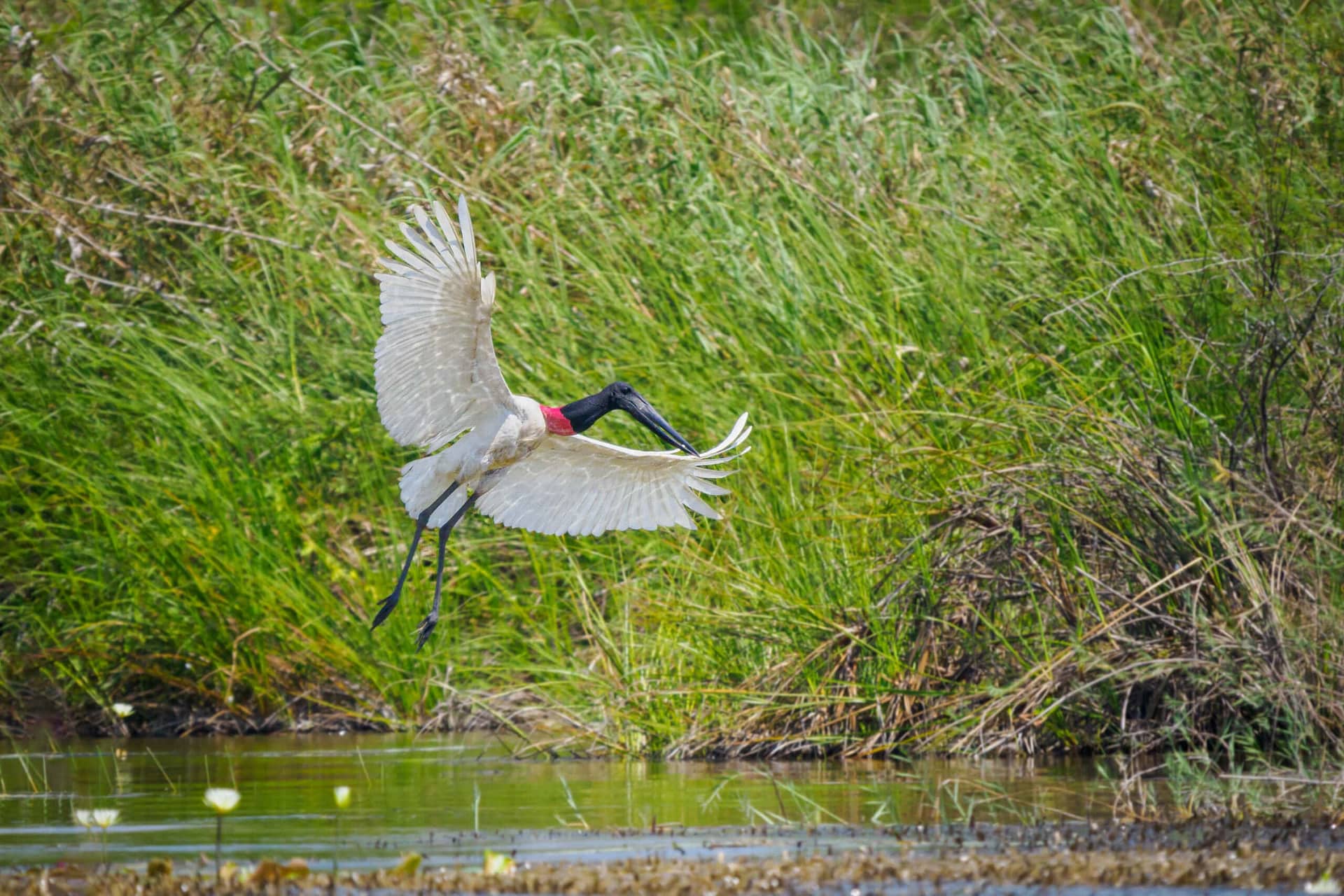 TRIP REPORT: BELIZE: 2023 Photography Workshop - Wildside Nature Tours