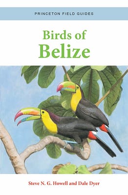 Birds of Belize field guide