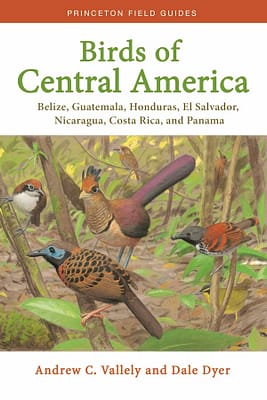 Birds of Central America field guide