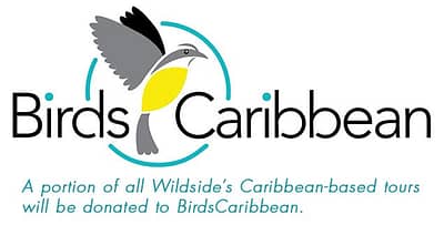 Birdscaribbean logo
