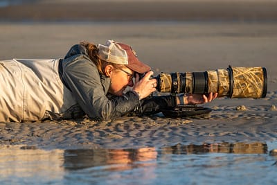 Photographer and writer, Dawn Wilson, photographs shore birds along the Gulf Coast in Gulfport, Mississippi.