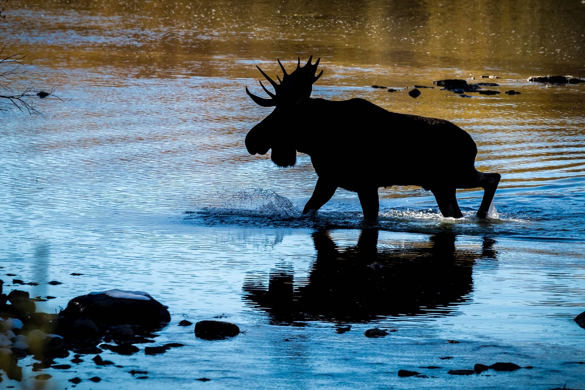 GLACIER PARK: A Fall Montana Photography Adventure (OM System Only