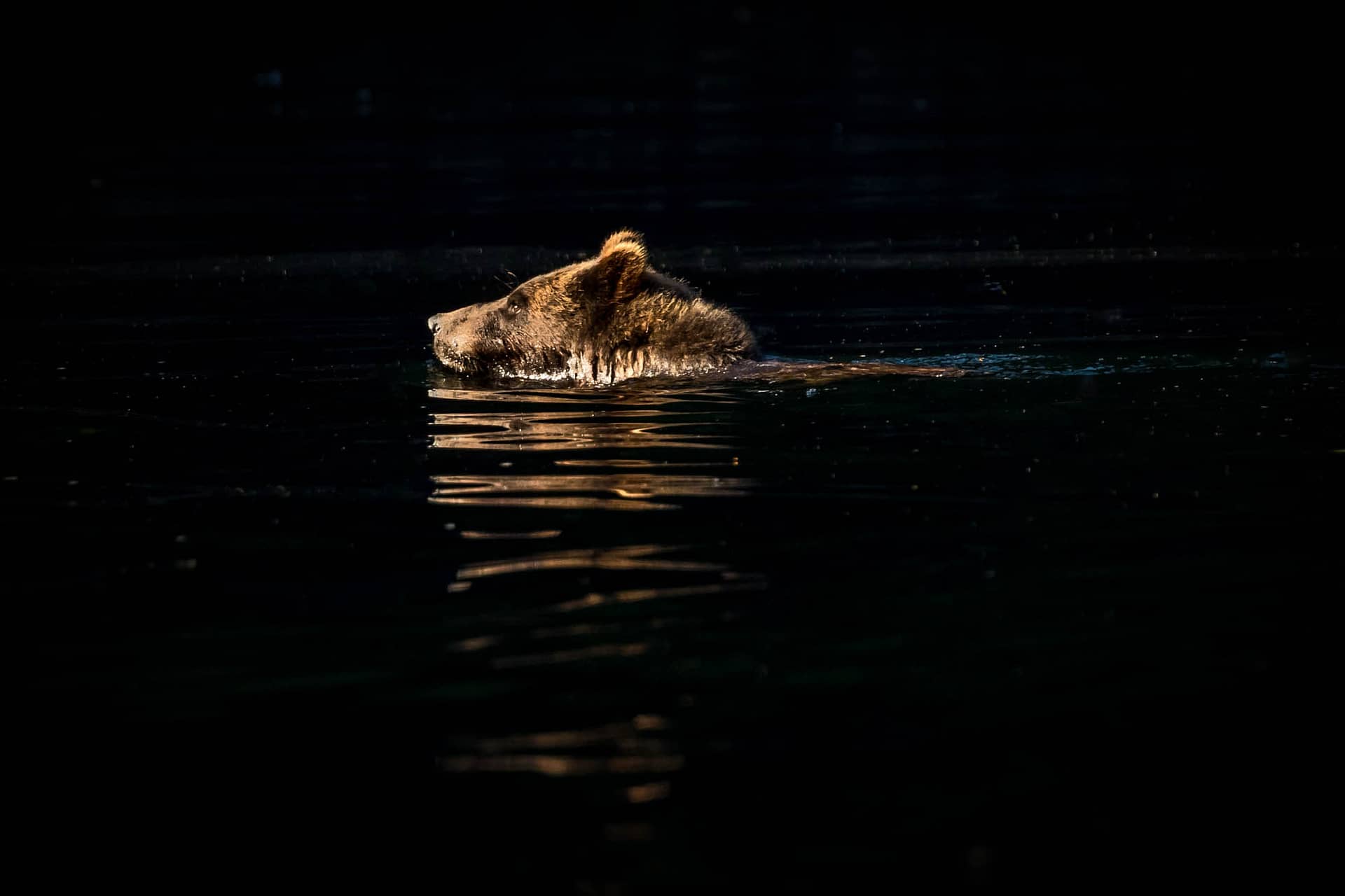 Alaska-2017-2-5 Alaska-2017-2-5